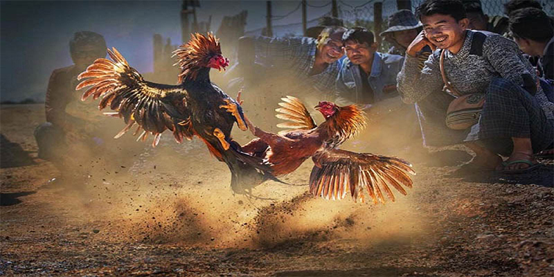 k8s chơi bắn cá đổi thưởng