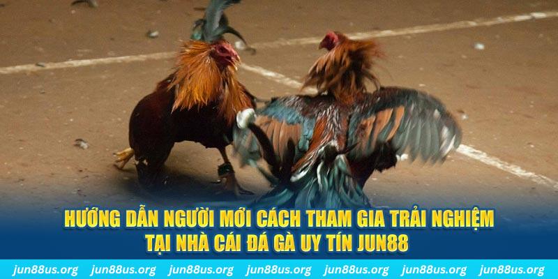 k8s CQ9 Điện Tử