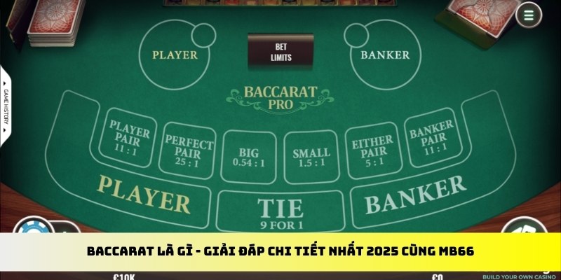 k8s gà chọi cu cần