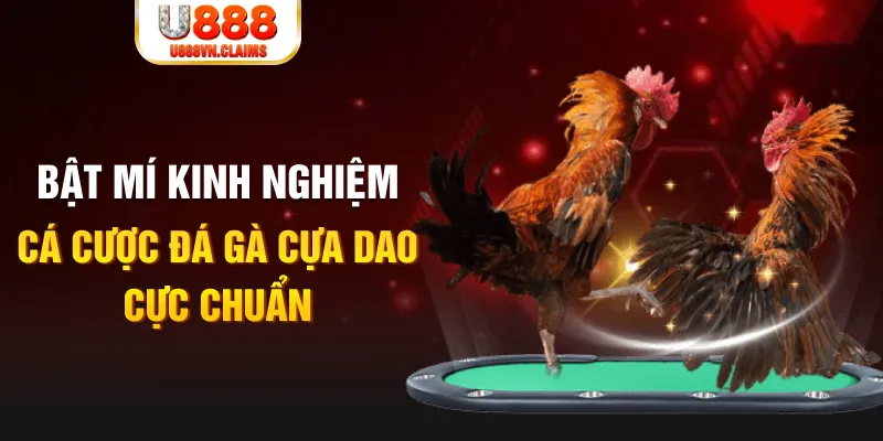 k8s tỷ lệ cá cược châu á là gì