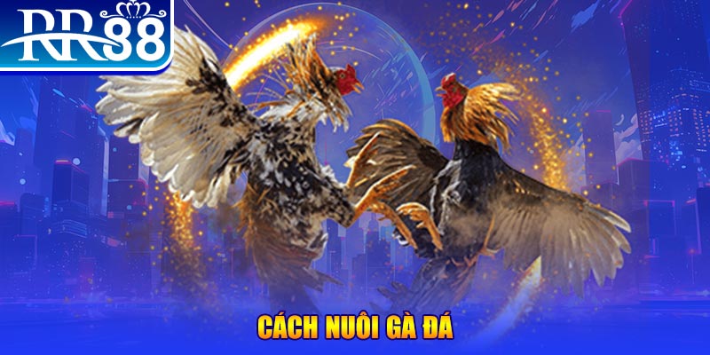 k8s xổ số an giang