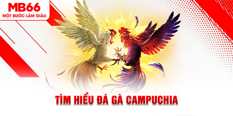 k8s đá gà trực tiếp