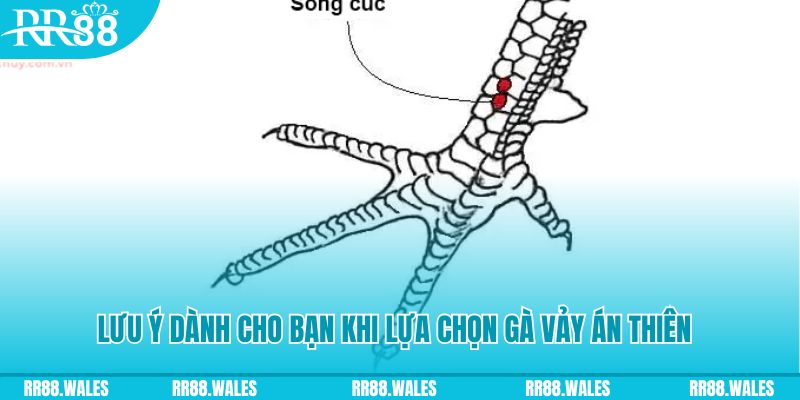 k8s xổ số đồng nai