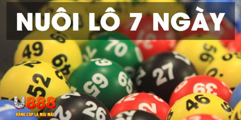 k8s slot là j