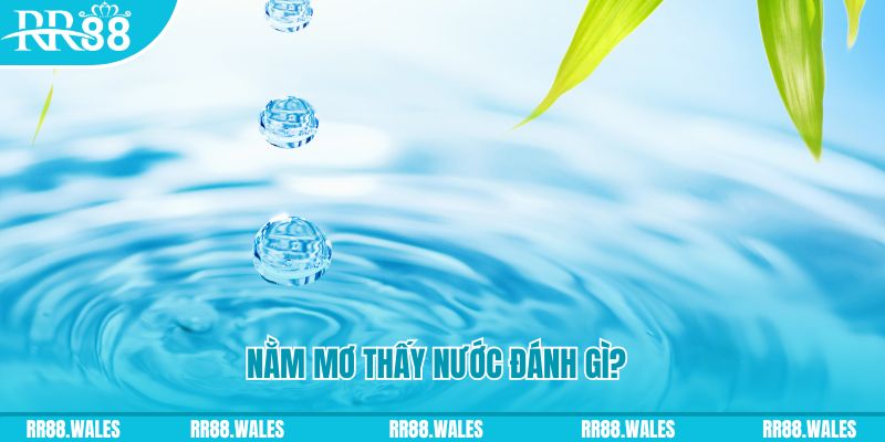 k8s TP Bắn cá