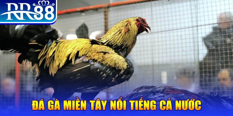 k8s JILI Game Bài 3d