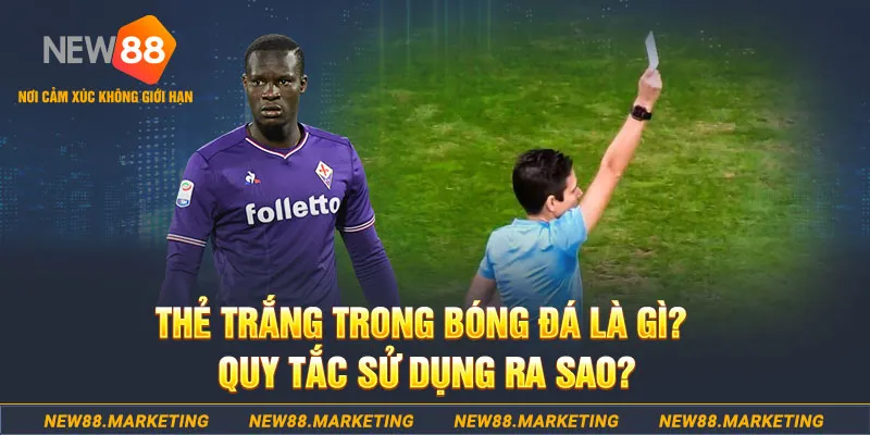 k8s gà chọi mộc hóa