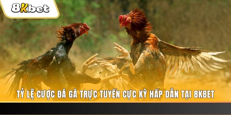 k8s xổ số trực tiếp miền bắc