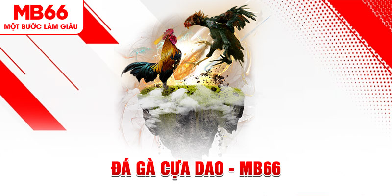 k8s đá gà sv388 gold