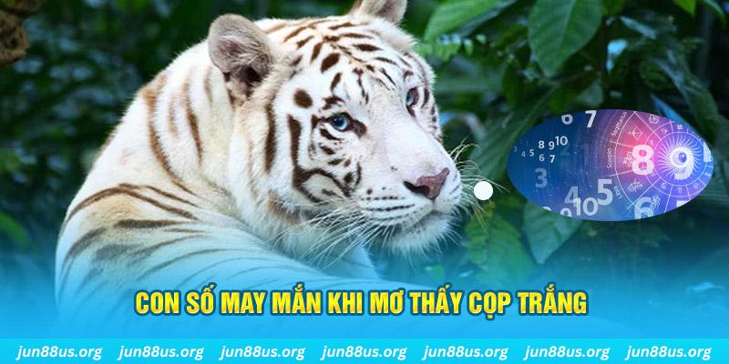 k8s đá gà trực tiếp 88